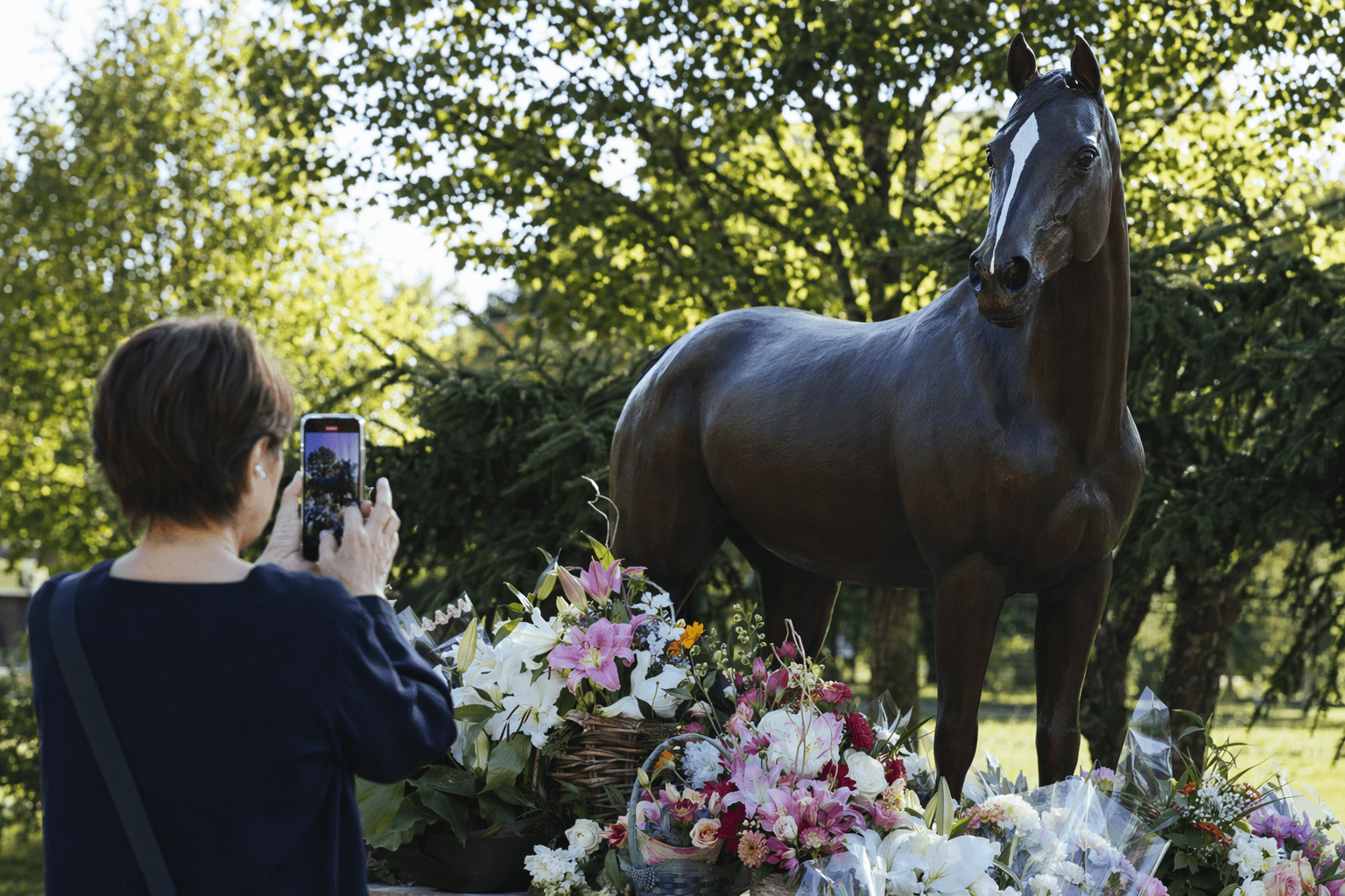 Northern Horse Park unveils Gentildonna memorial for public visits