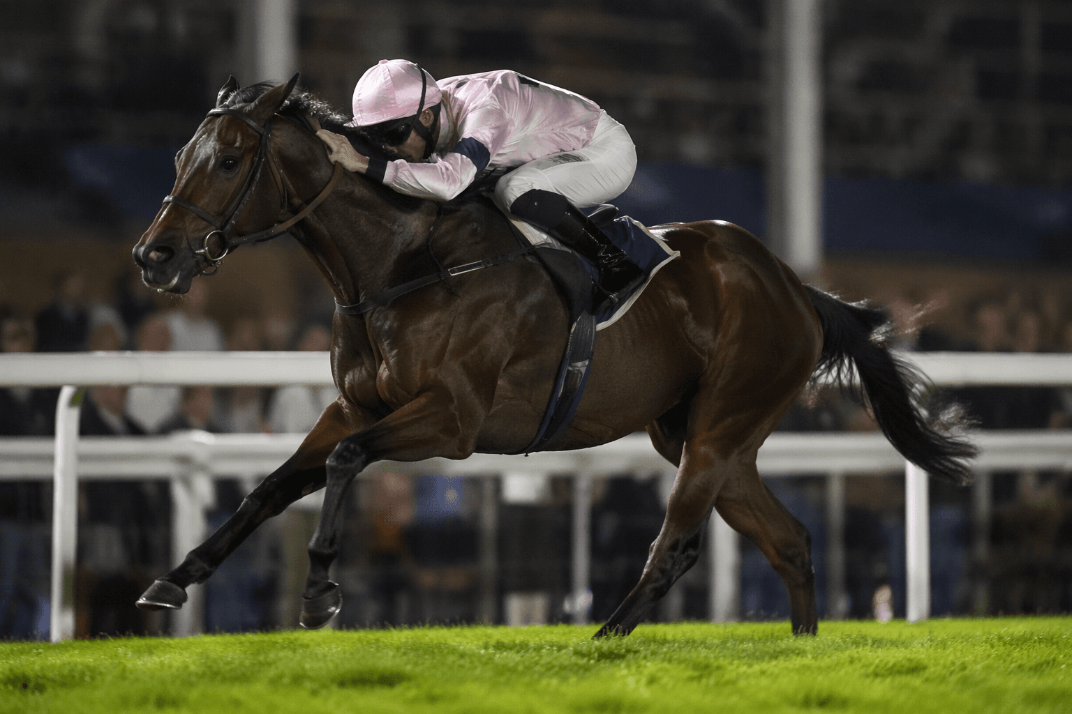 Friendly Soul returns at Haydock after 19-month layoff