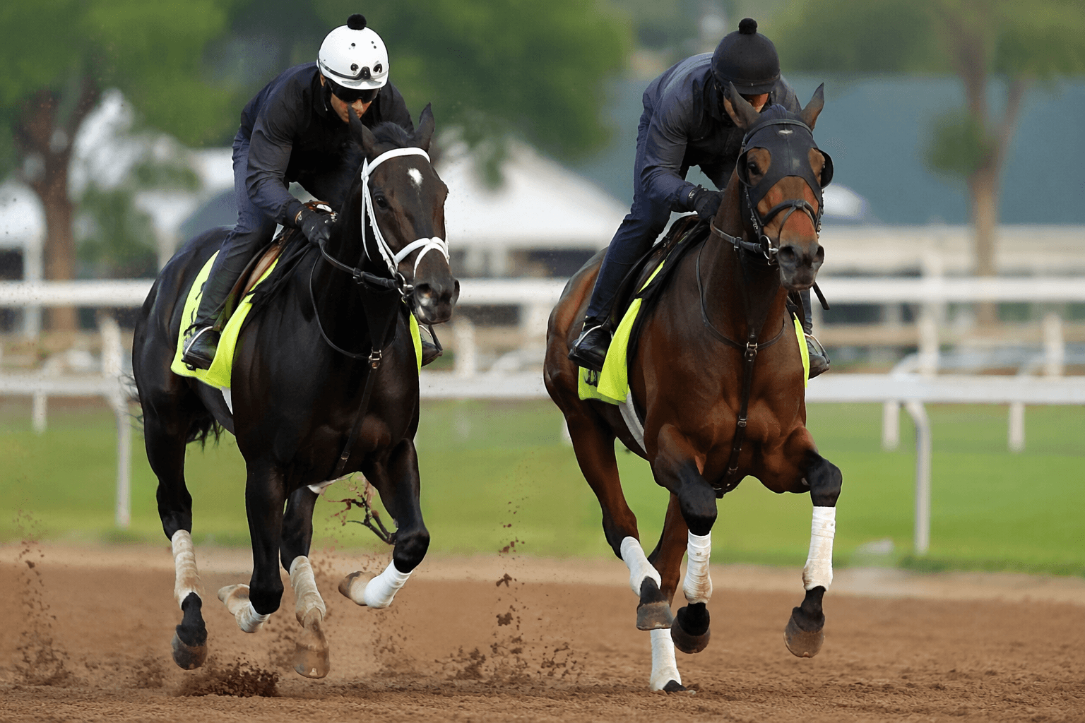 Commandment, Further Ado on separate summer paths for Brad Cox