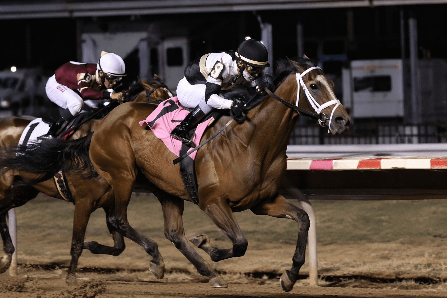 Honey Dutch leads Penn Mile field as Whit Beckman seeks graded breakthrough