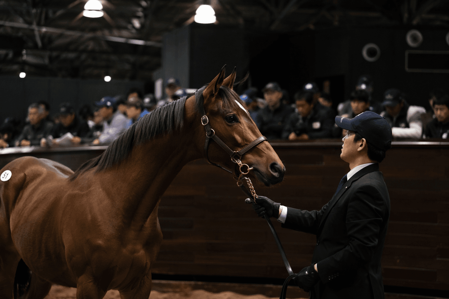 Chiba Thoroughbred Sale sets record gross and average at Funabashi