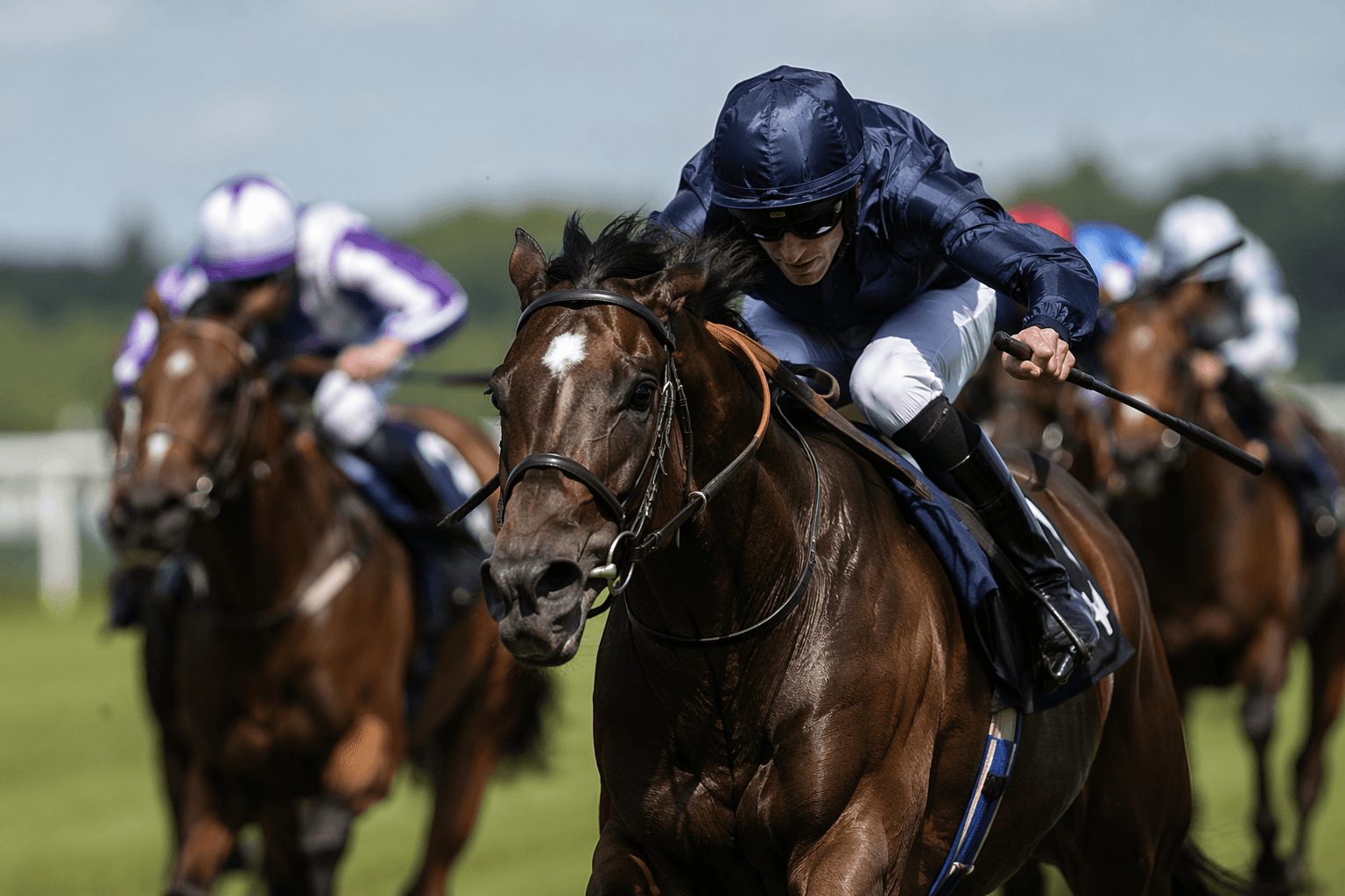 Ombudsman faces five rivals in Sandown tune-up for Royal Ascot