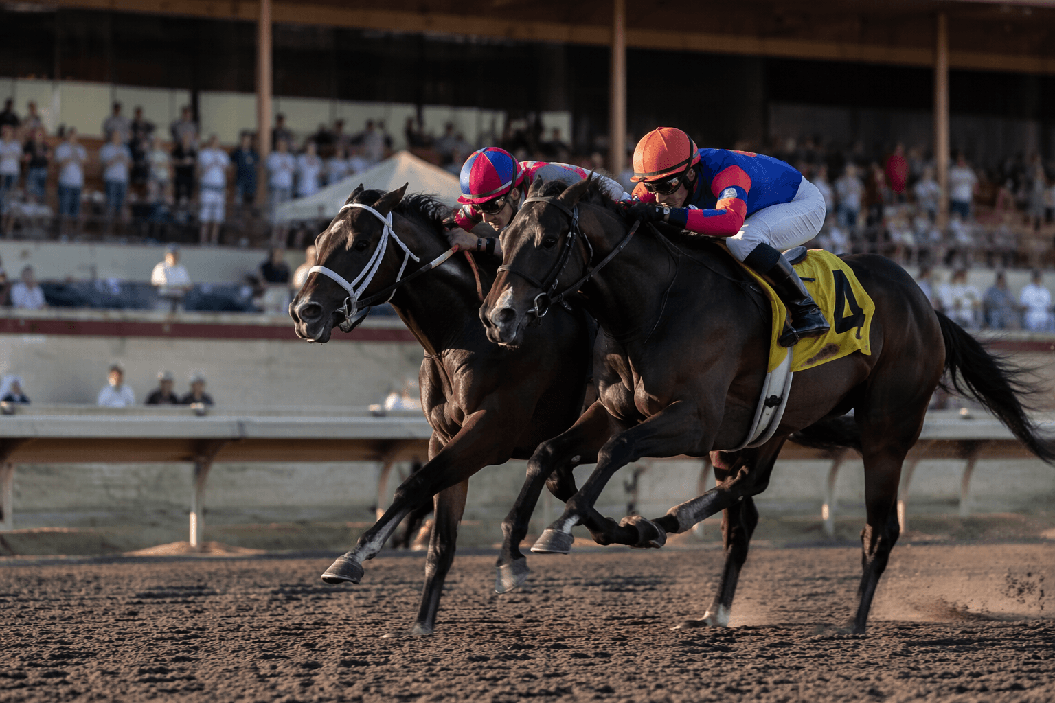 Souper Tuscan nails Speightstown Sprint Stakes by a neck