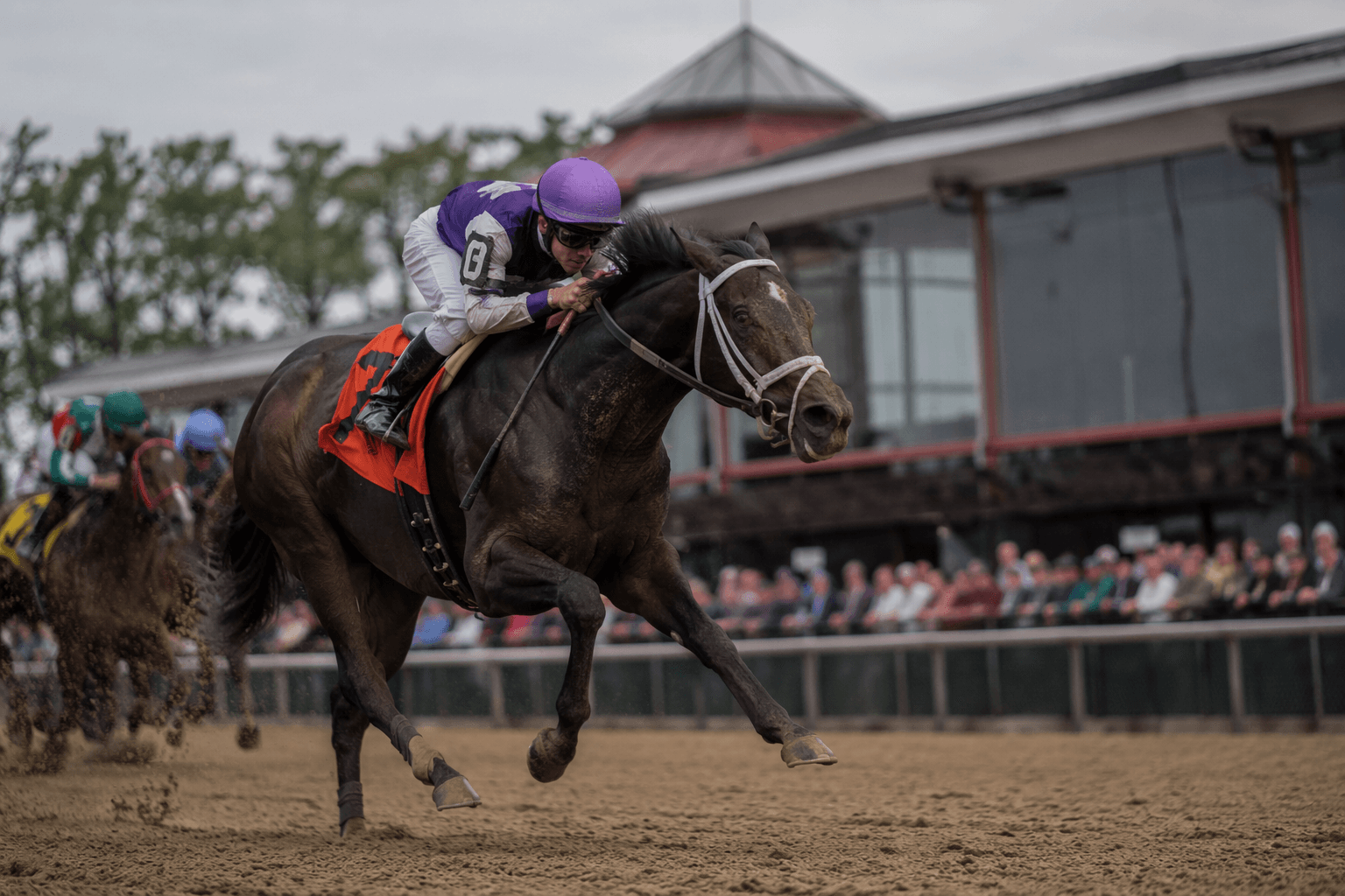 Haulin Ice returns to dirt for Rehoboth Stakes test at Delaware Park