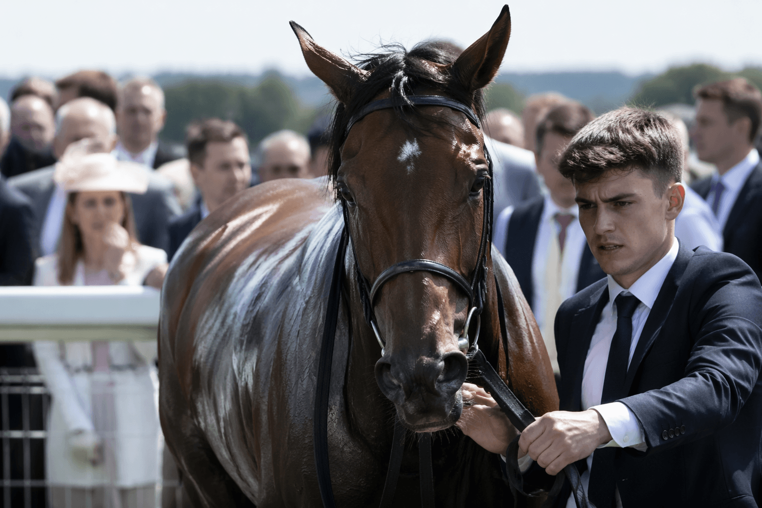 Trainers demand probe into Irish Guineas vet checks after Magny Cours row