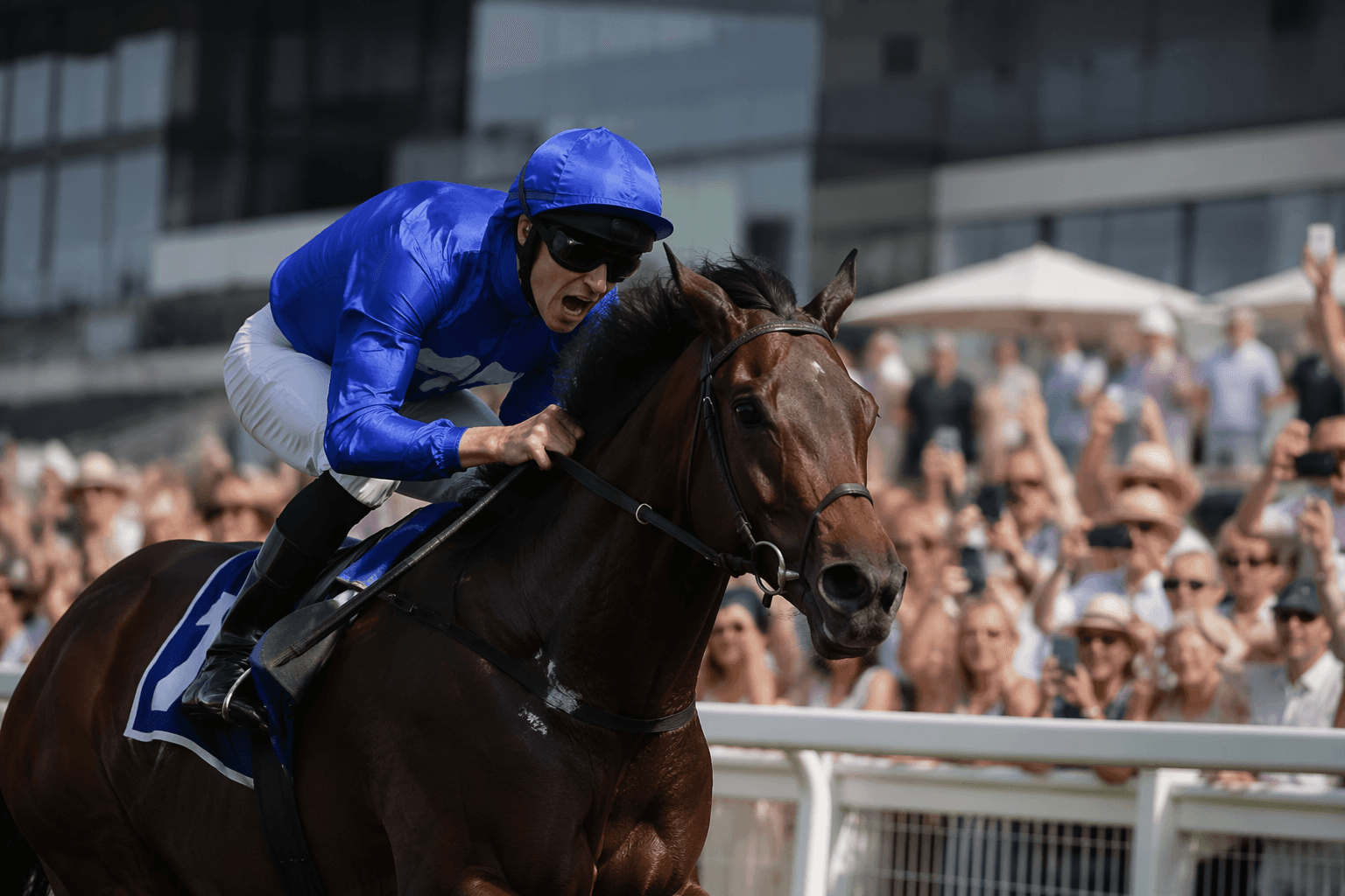 Title Role wins Cologne Guineas, boosts Too Darn Hot Classic record