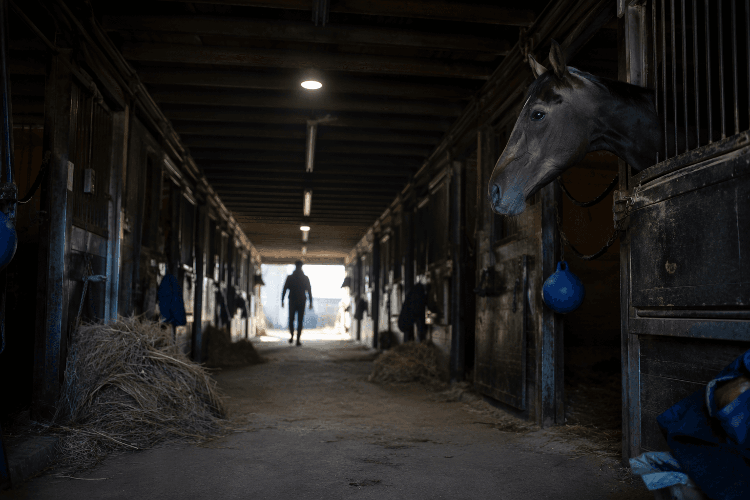 Parx stall dispute deepens as horsemen deny trainer support claims