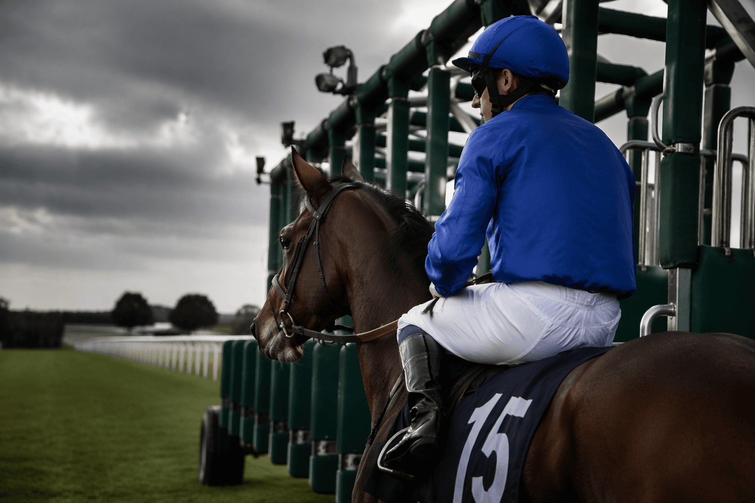 Constitution River faces tough French Derby draw in stall 15