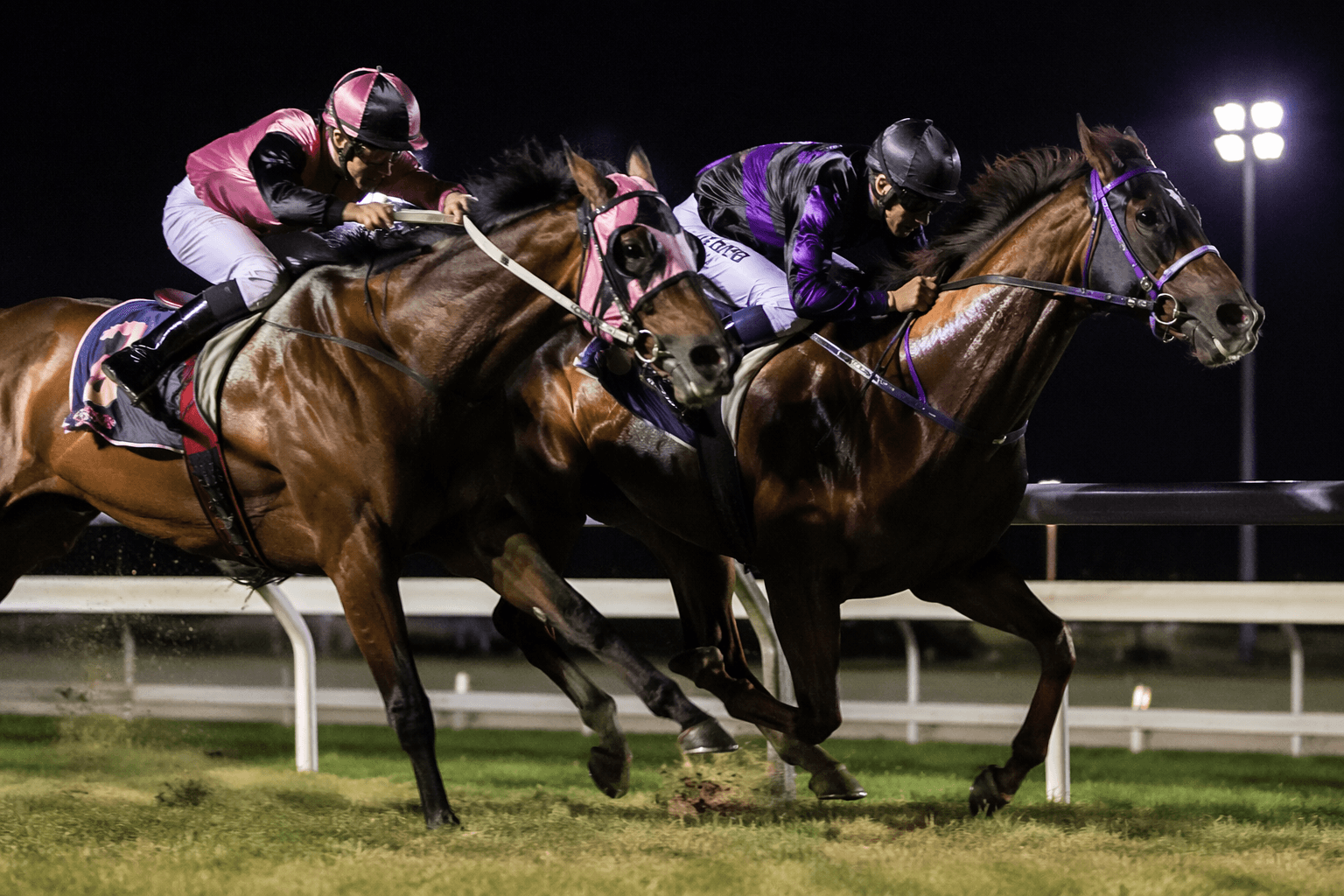 WA racing blunder, two Lark Hill races run over wrong distances