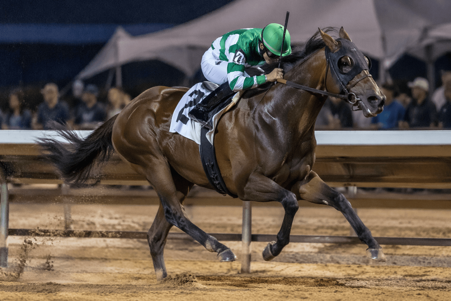 Jack's Time powers to six-length John Wayne Stakes win at Prairie Meadows