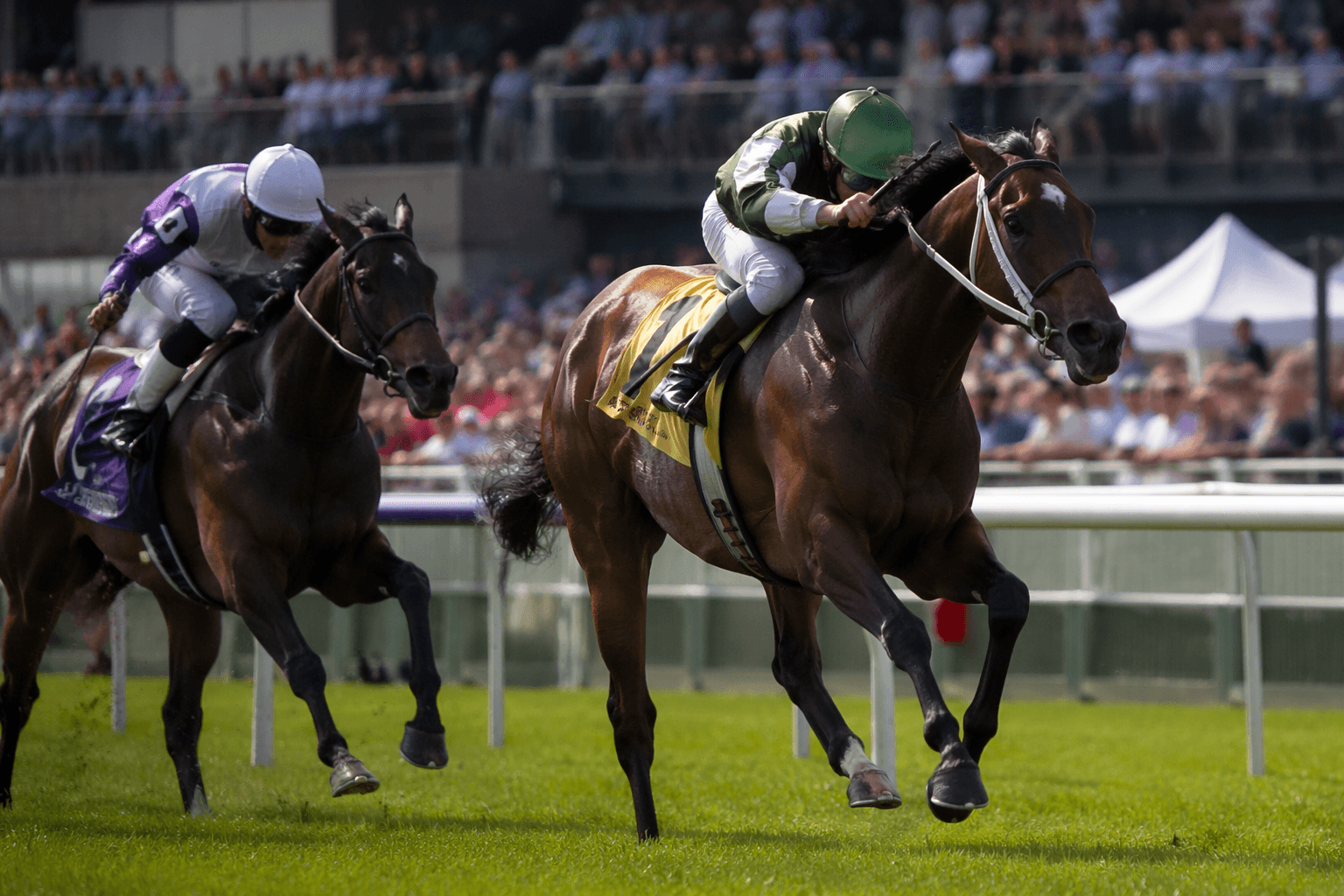 Possiblemente powers past Western Whirl to win Jacques Cartier Stakes