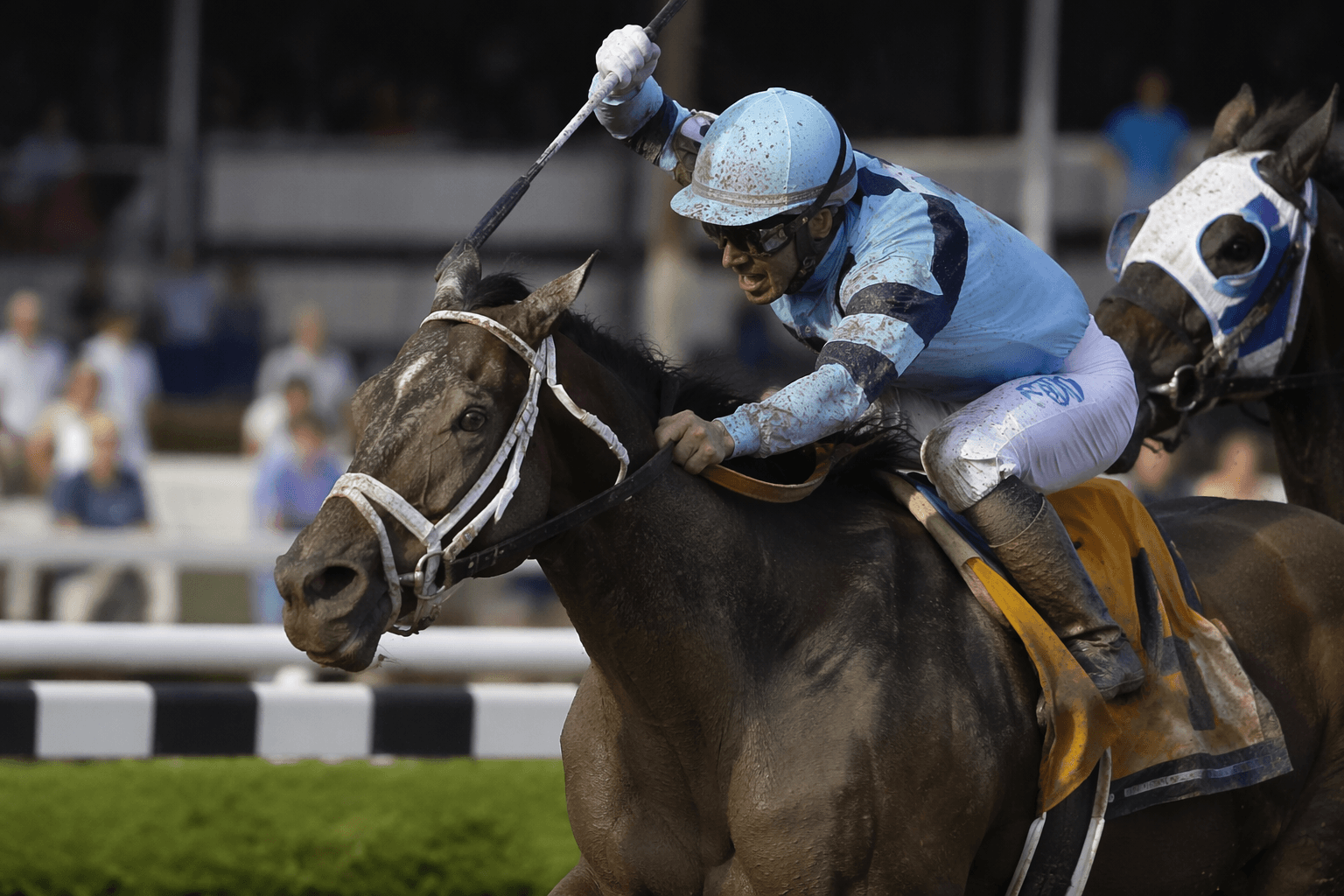 Undefeated Gratefully takes perfect record into Intercontinental Stakes