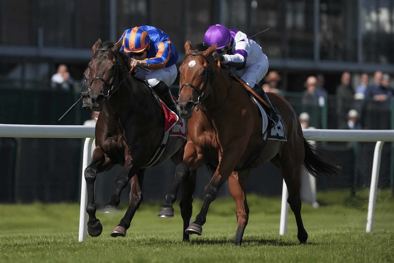 Cosmic Year makes U.S. debut in Cliff Hanger Stakes at Monmouth Park