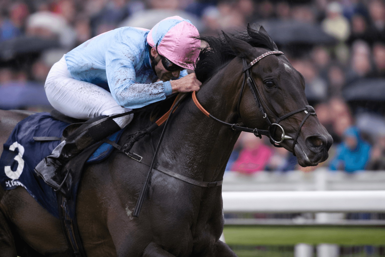 Tiny Mistry stable seeks Oaks glory with Thundering On