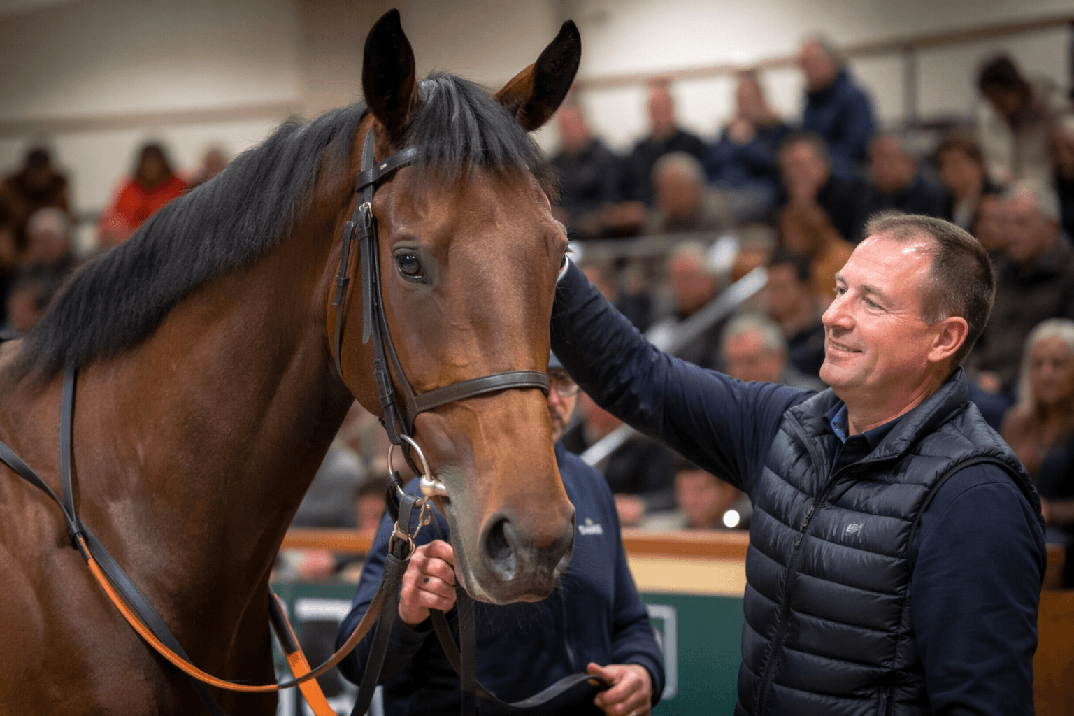 O’Moore Park tops GoffsGo sale at £66,000, Cheltenham target set