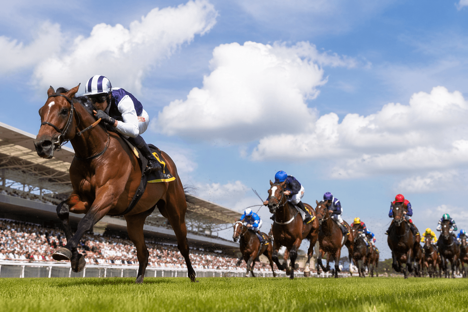 Bow Echo targets Ascot glory as Wesley Ward returns with seven runners