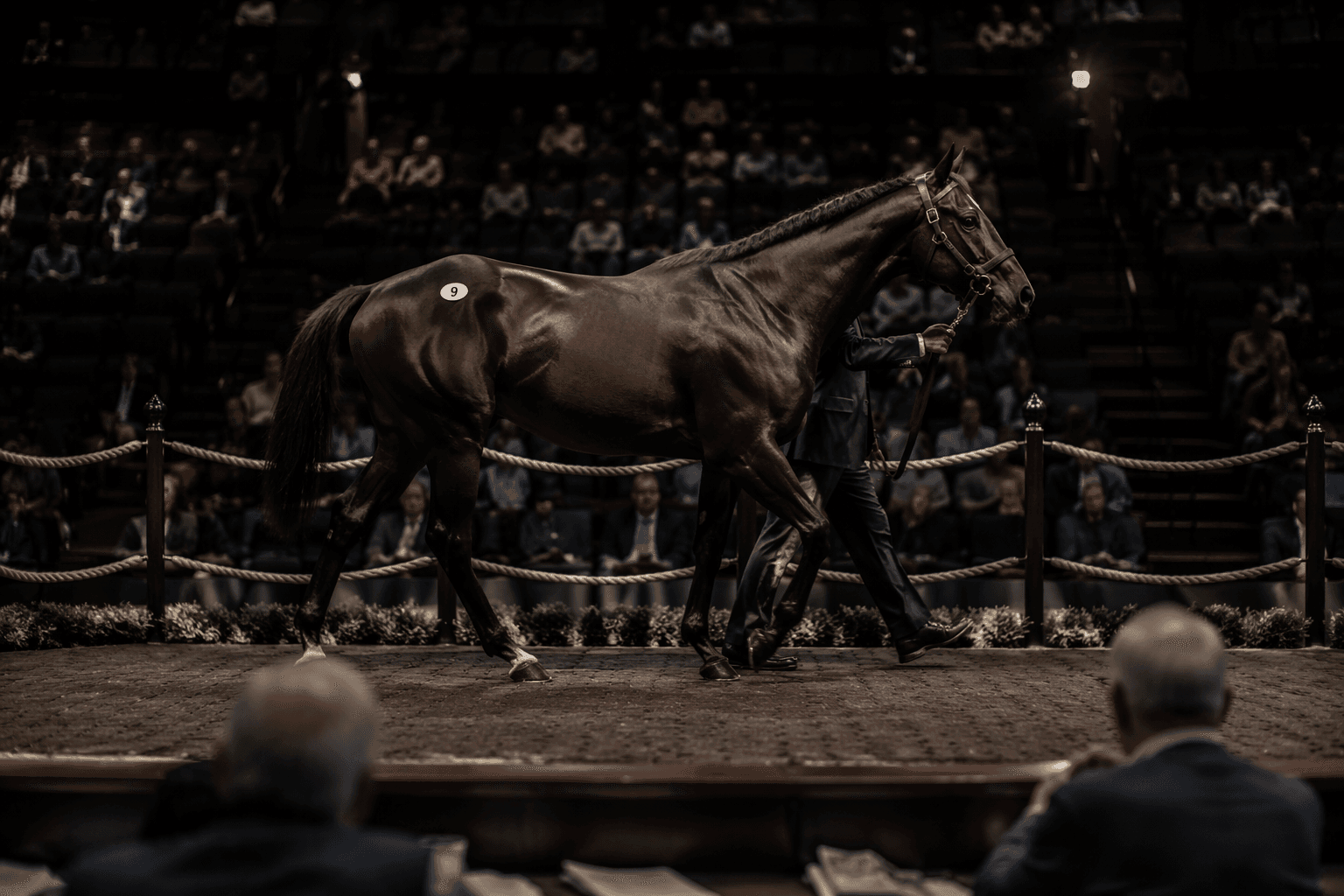Top sires tighten grip as Thoroughbred breeding faces consolidation