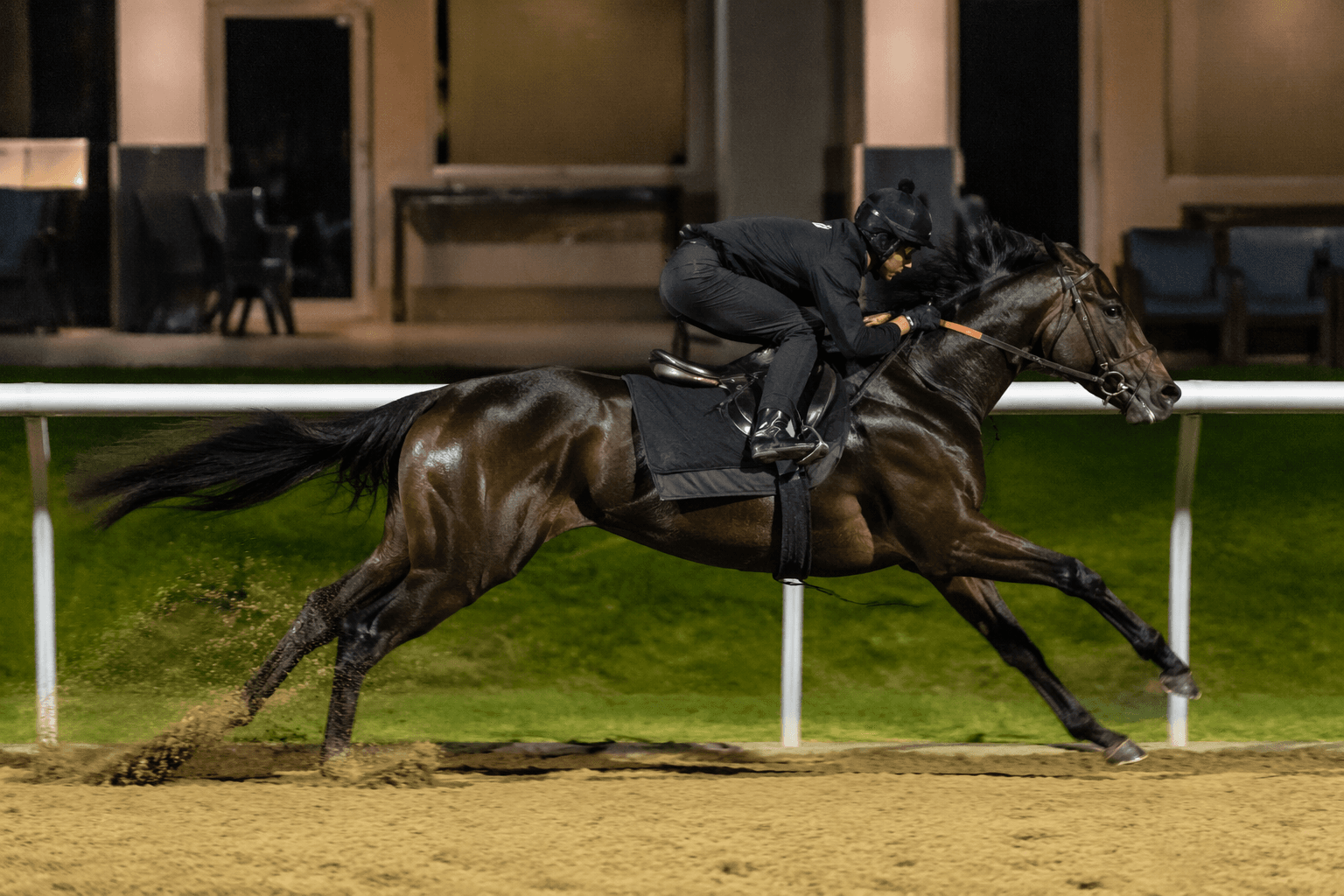 Parrish Farms brings standout Yaupon colt to OBS June Sale