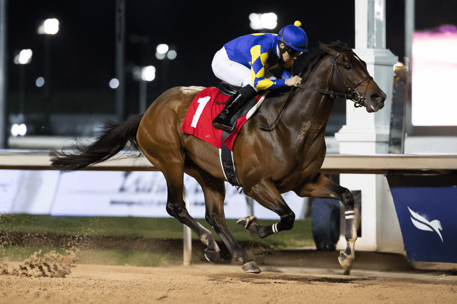 Prime Aurora gives Mind Control first winner in New York-bred debut