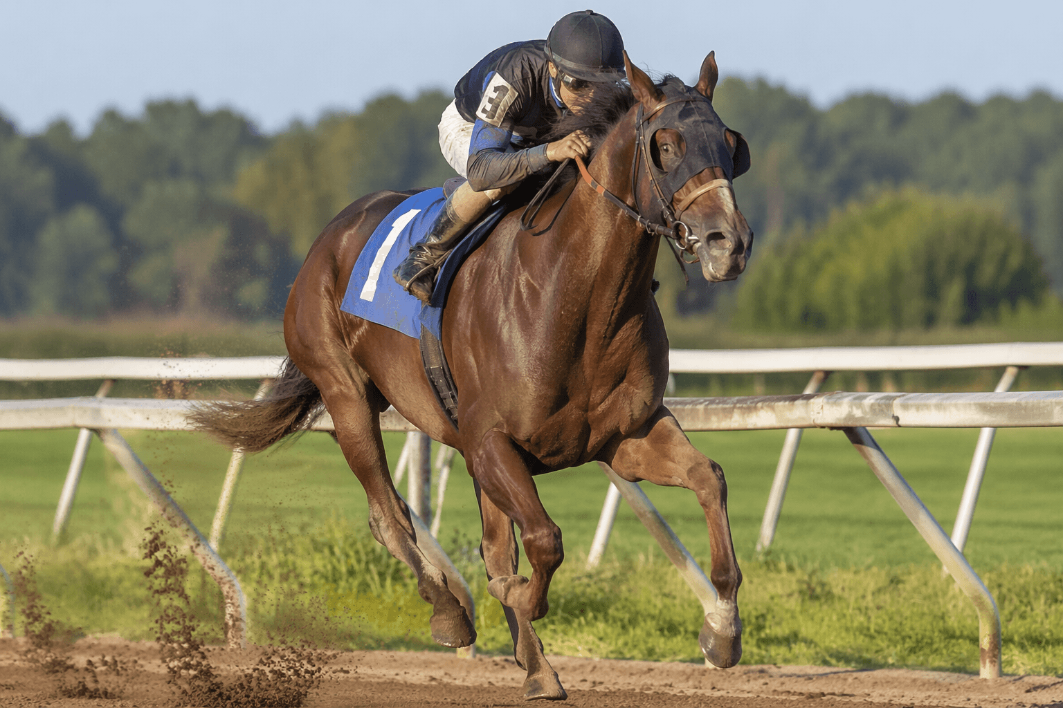 Mandaloun gets first winner as Book Value wins debut at Thistledown