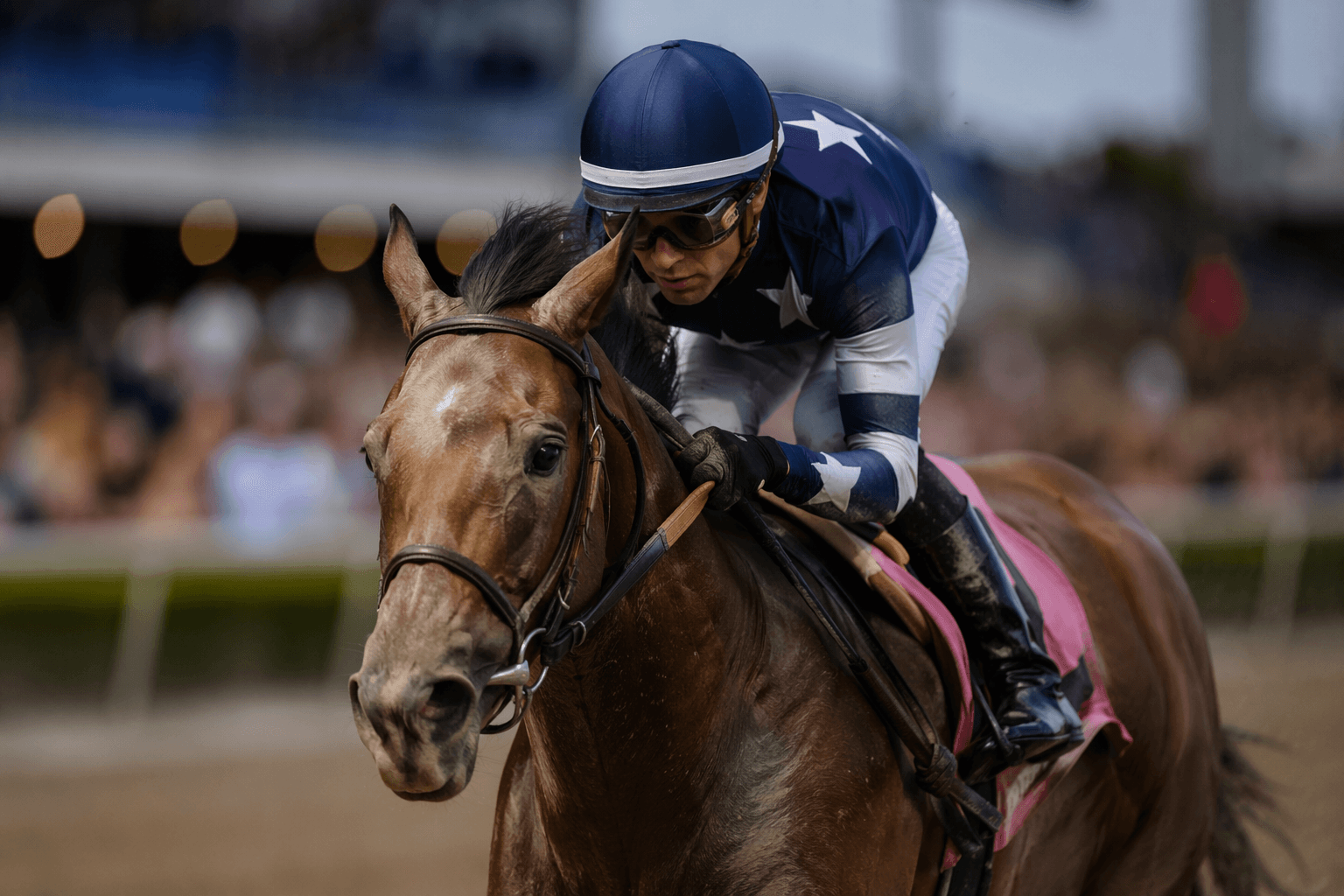 Winplaceandshow targets stakes debut in Gulfstream's Azalea Stakes