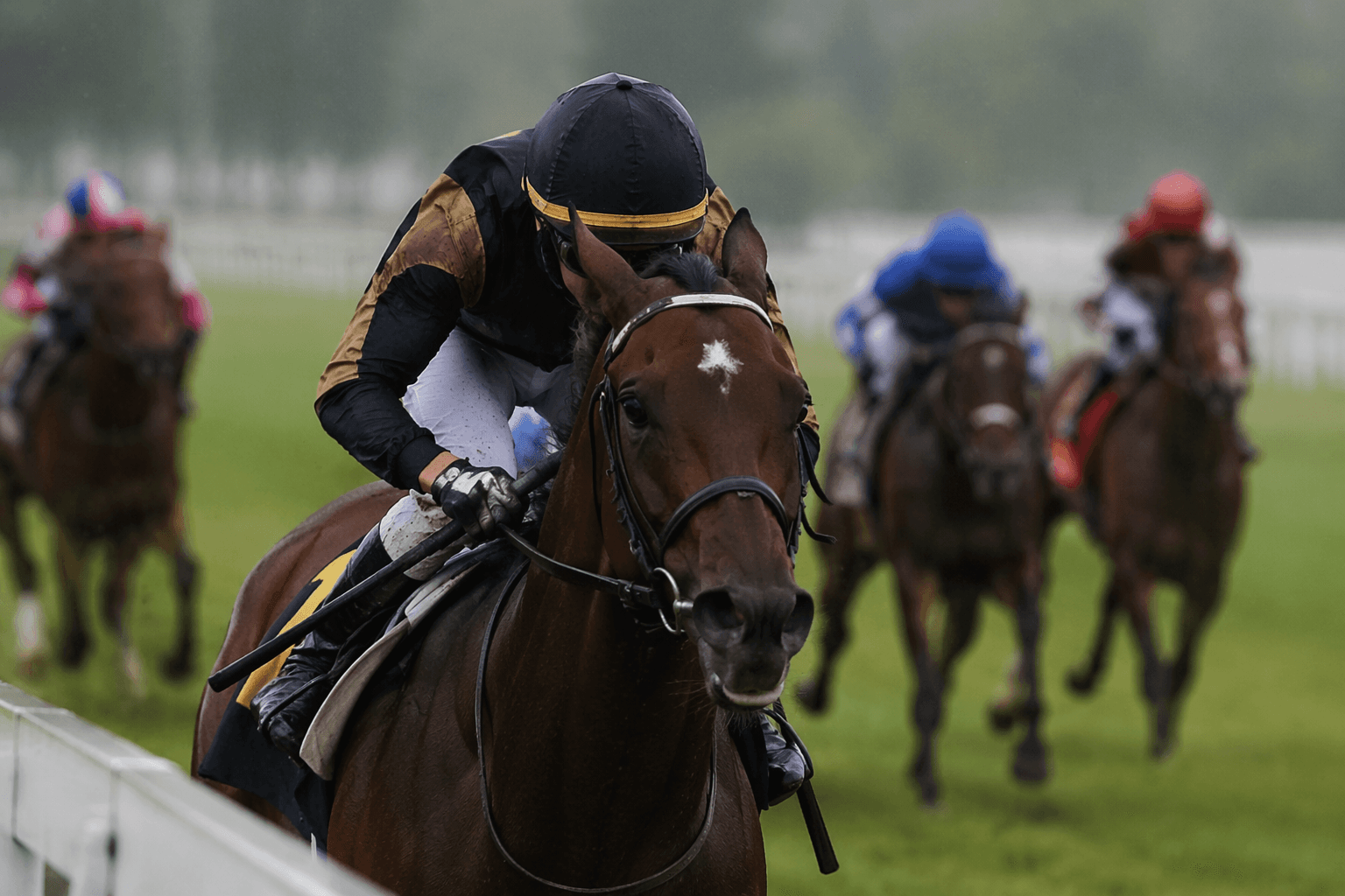 Hall Monitor faces stakes test in Cape Henlopen turf race