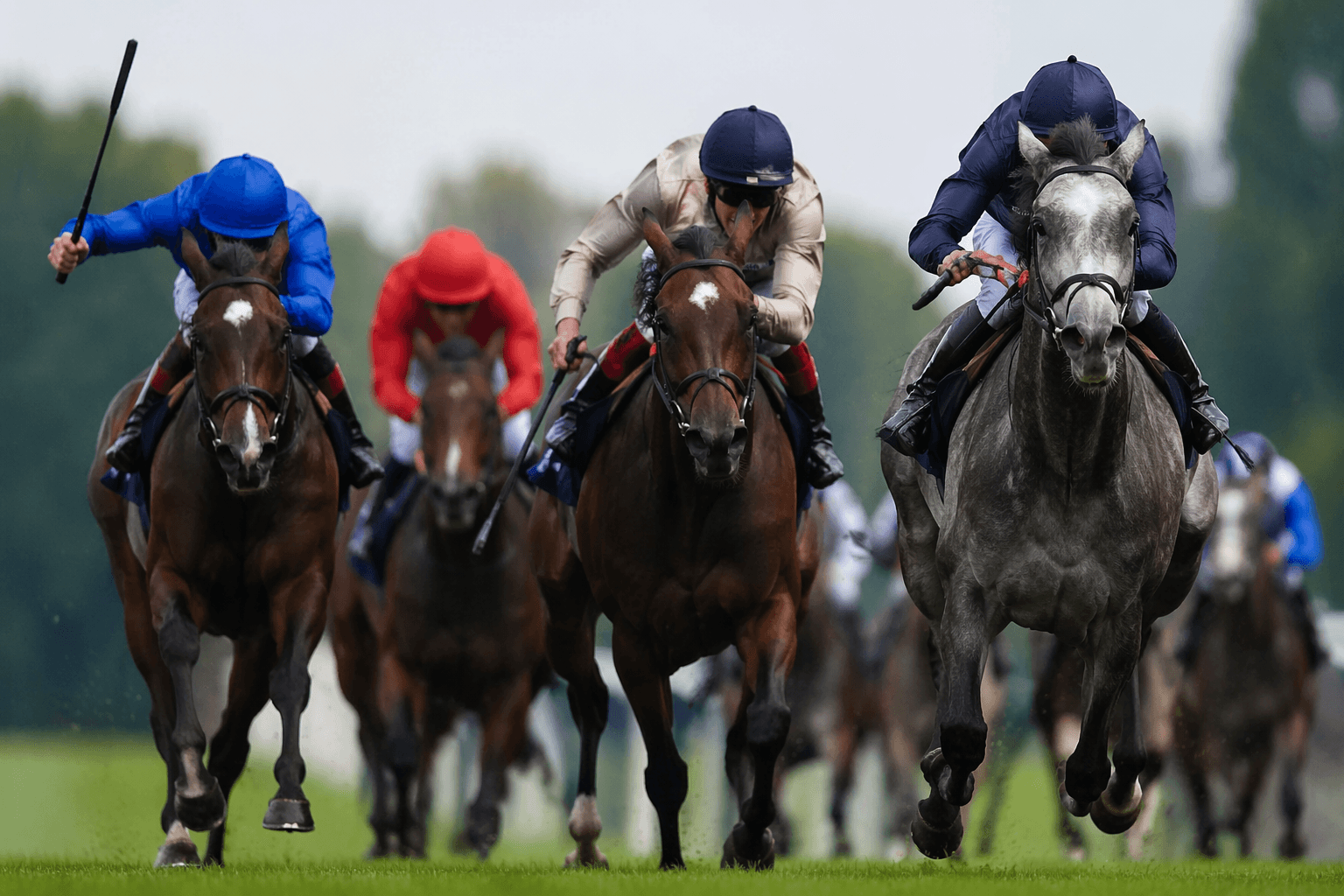 Scandinavia faces Rahiebb rematch in Royal Ascot Gold Cup test