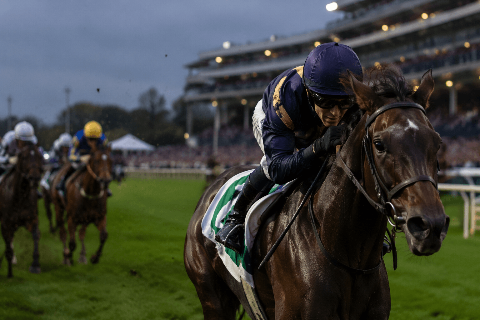 Royal Guard breaks 32-year Churchill Downs turf record in maiden win