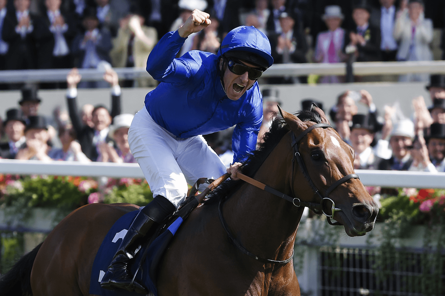 Generic stuns Royal Ascot with Hampton Court Stakes victory