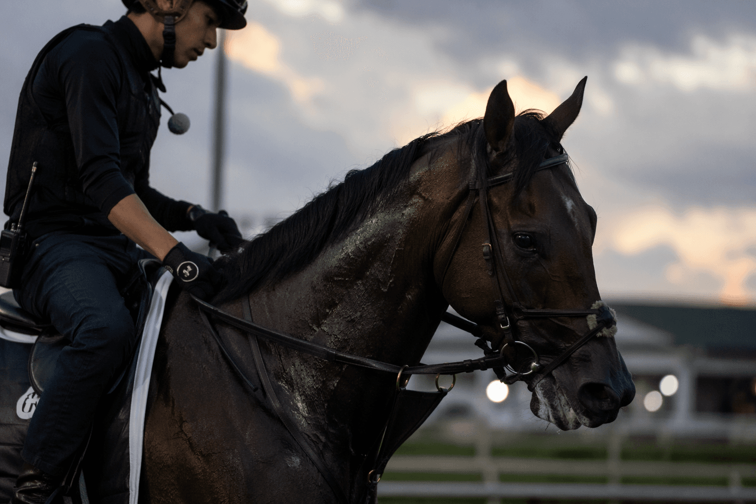Ohio Derby draws Preakness and Derby veterans in key test