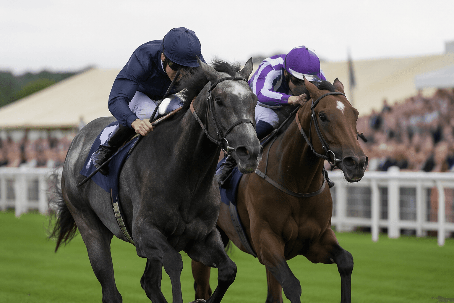 Limestone edges Queen’s Vase by a nose at Royal Ascot