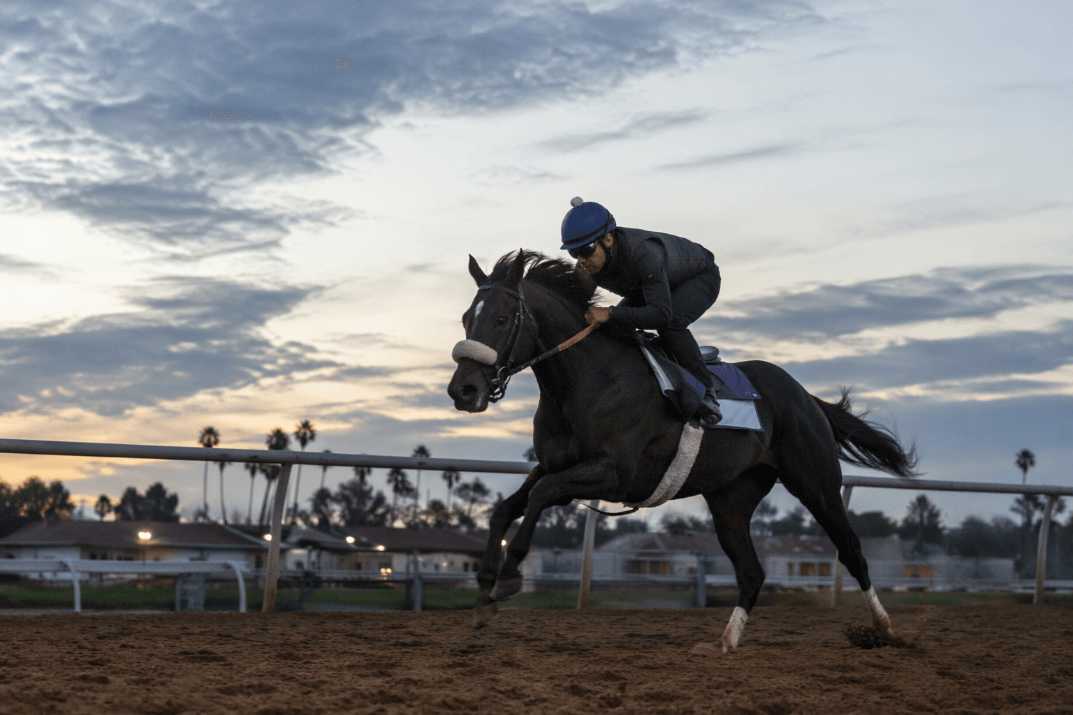 Baffert’s Hughes draws buzz ahead of Los Alamitos debut