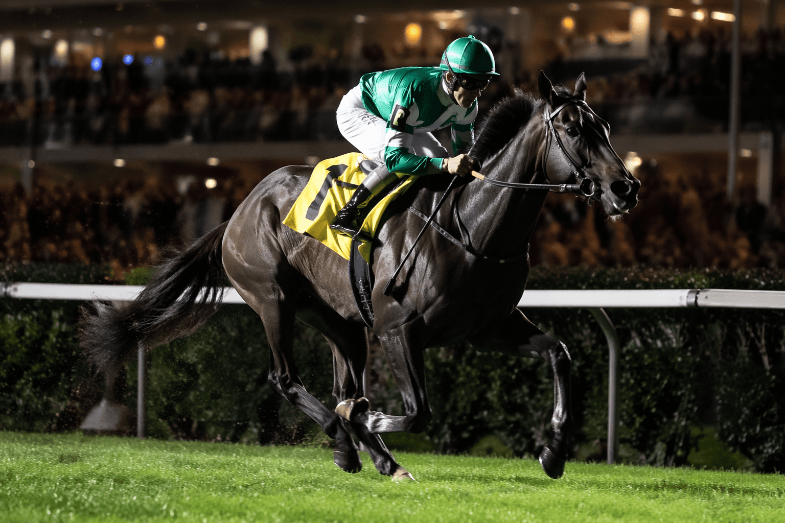 Lady Jancis impresses in wire-to-wire maiden win at Churchill Downs