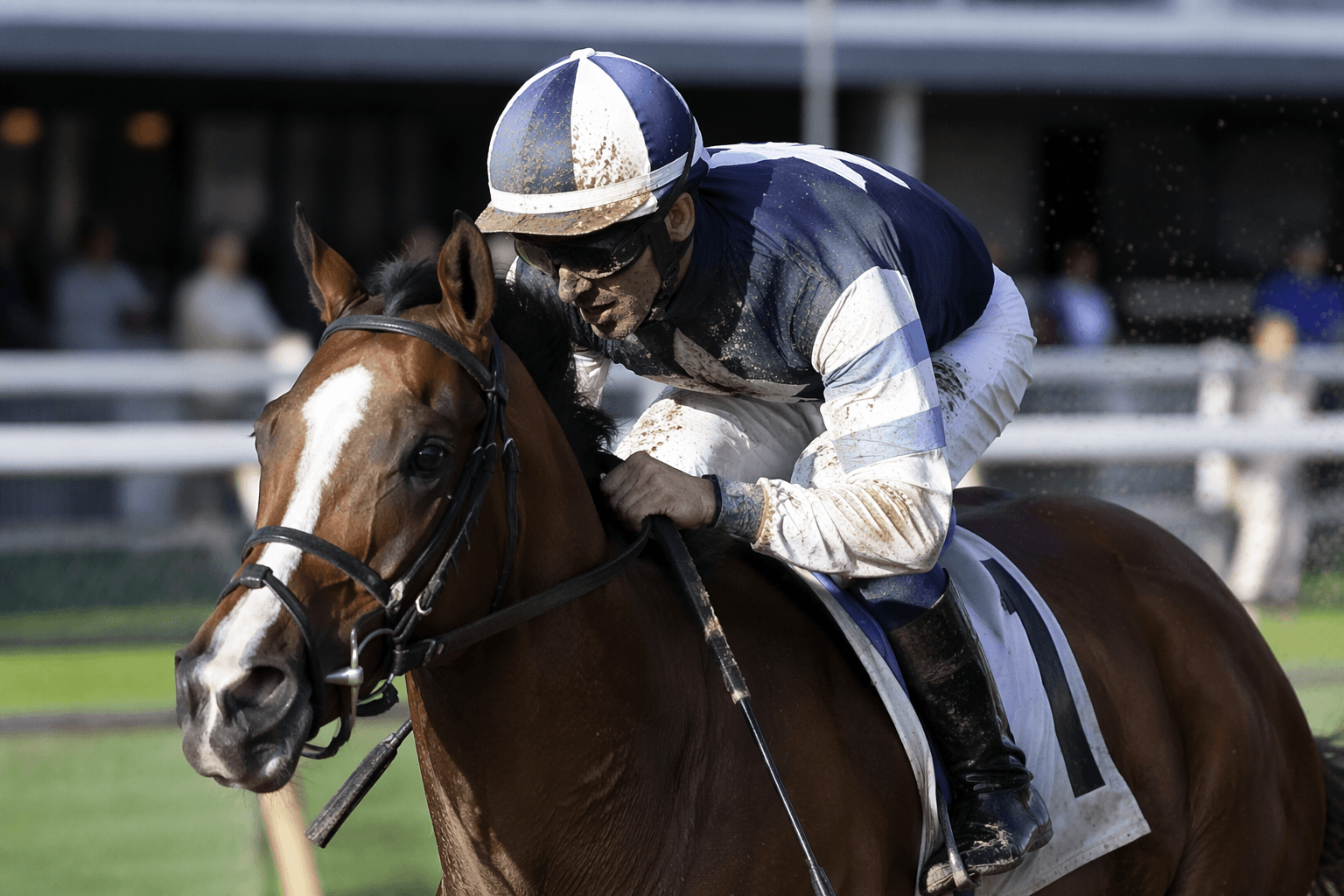 Hey Tuff Guy takes on stakes test in Bashford Manor Stakes