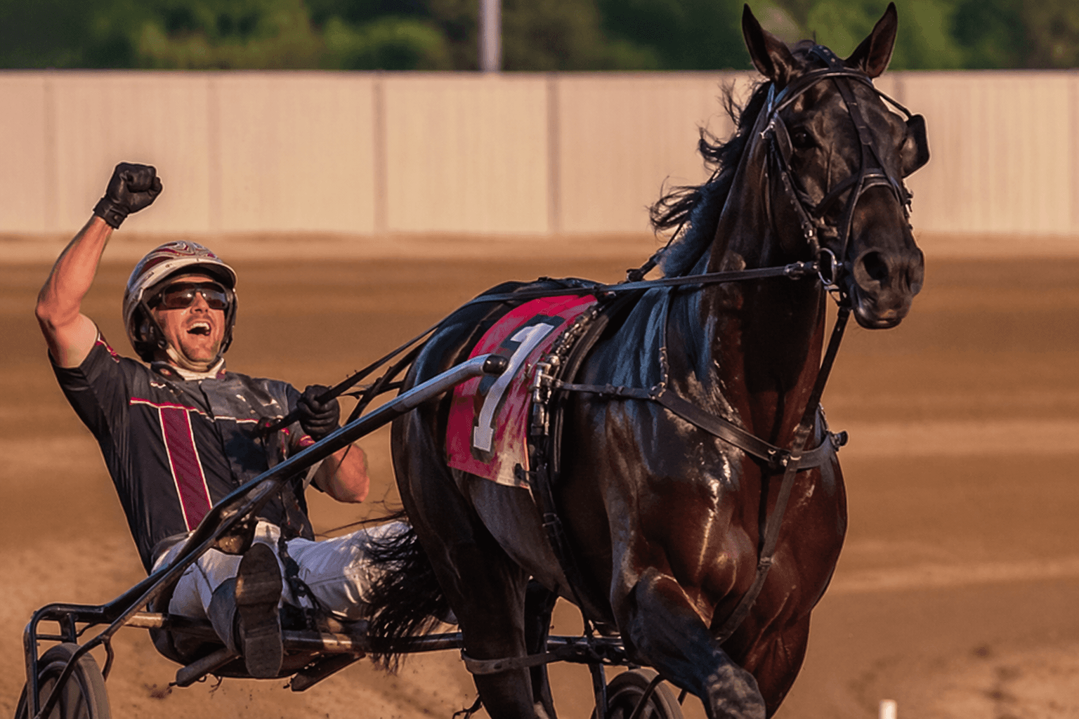 Three Times Bettor, Gimpanzee Dancer repeat in Kentucky Sire Stakes finals