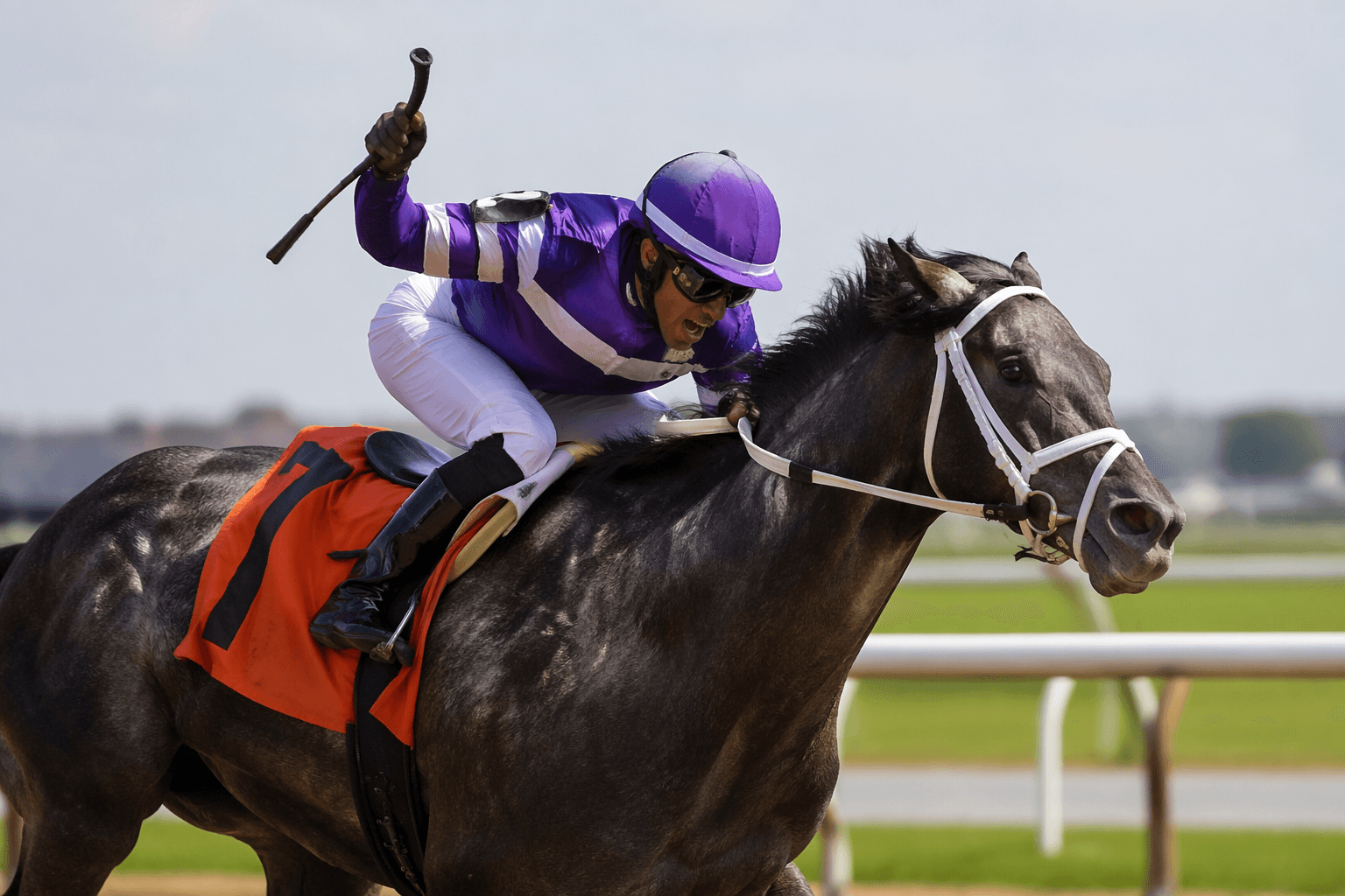Chief Wallabee targets Curlin Stakes for Saratoga graded breakthrough