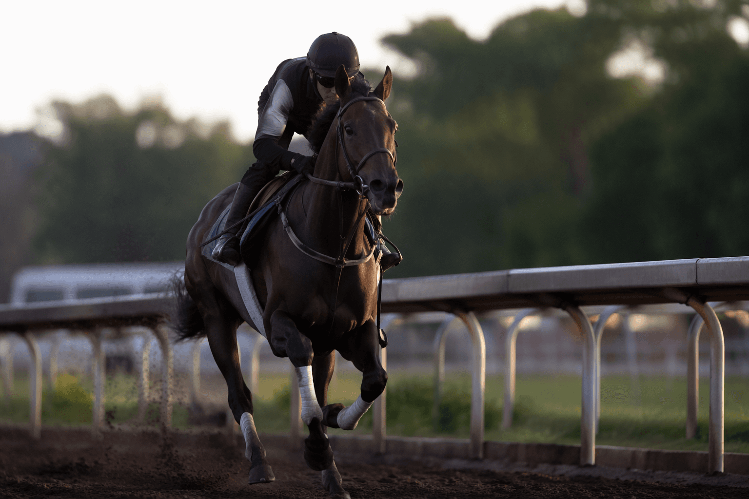 Knightsbridge faces two-turn test in Monmouth Cup debut