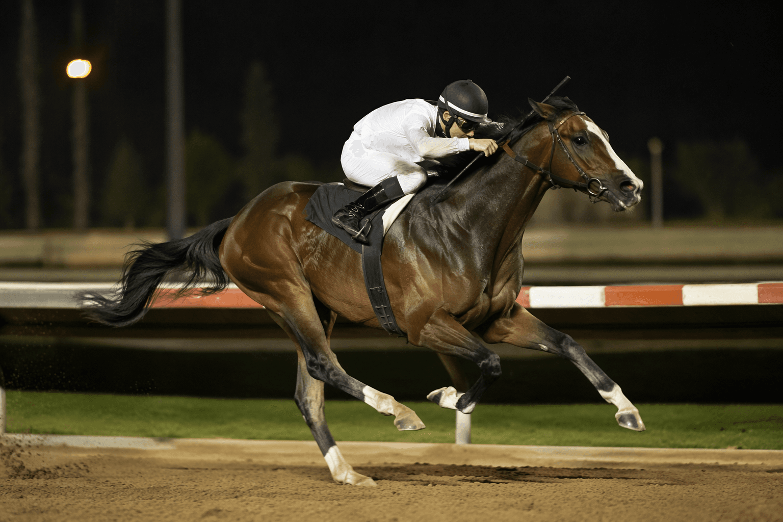 $3.4 million Faran wins debut in fast Los Alamitos maiden