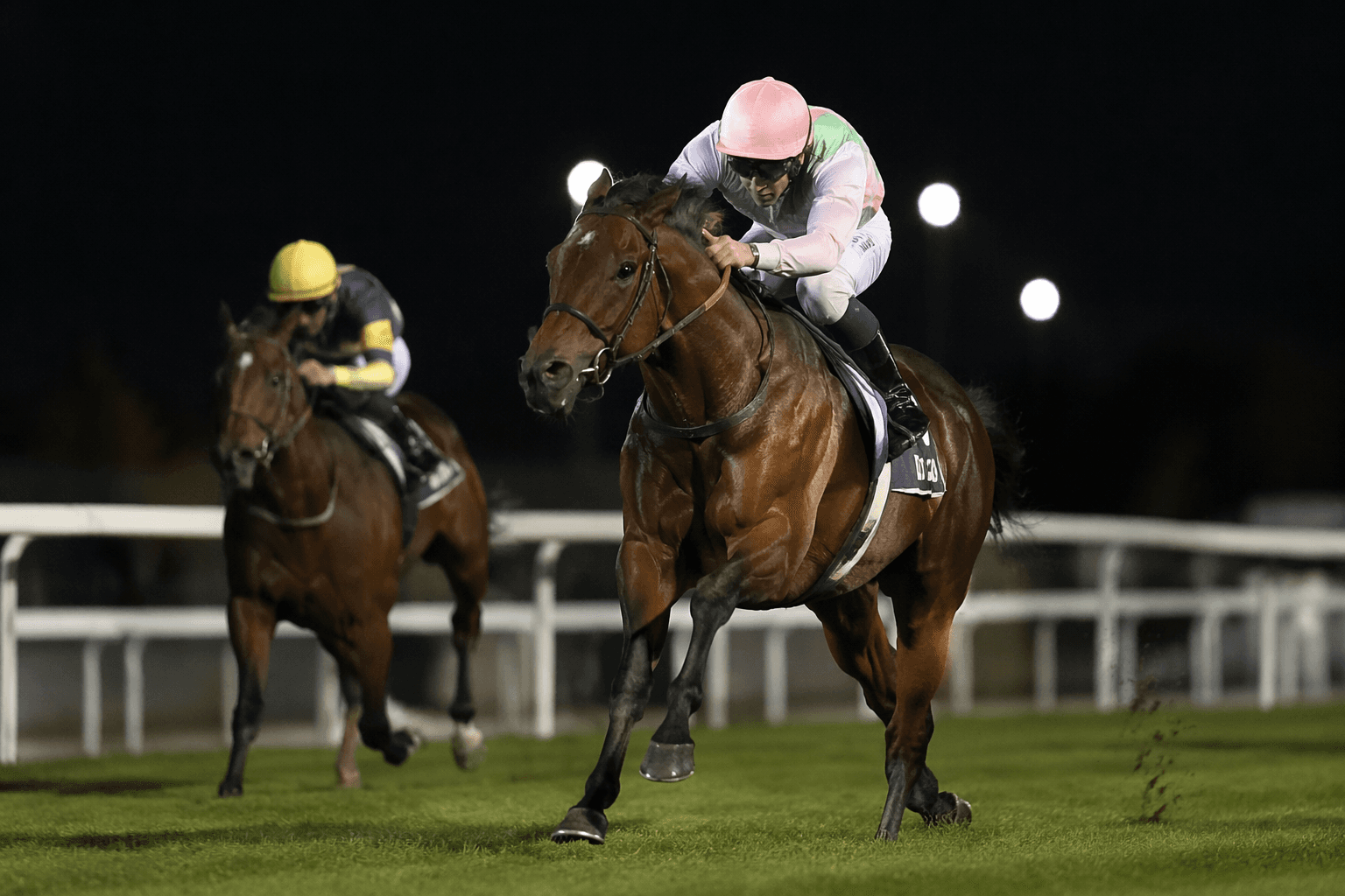 Breacher impresses on debut, Muir hails colt as major prospect