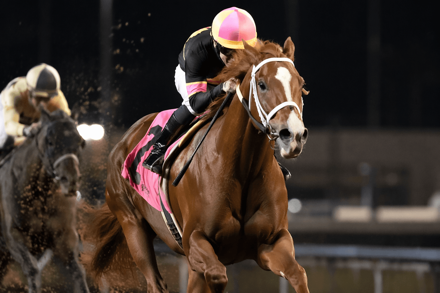 Hot Rod Honey gives Roadster first stakes winner in Sharp Susan Stakes