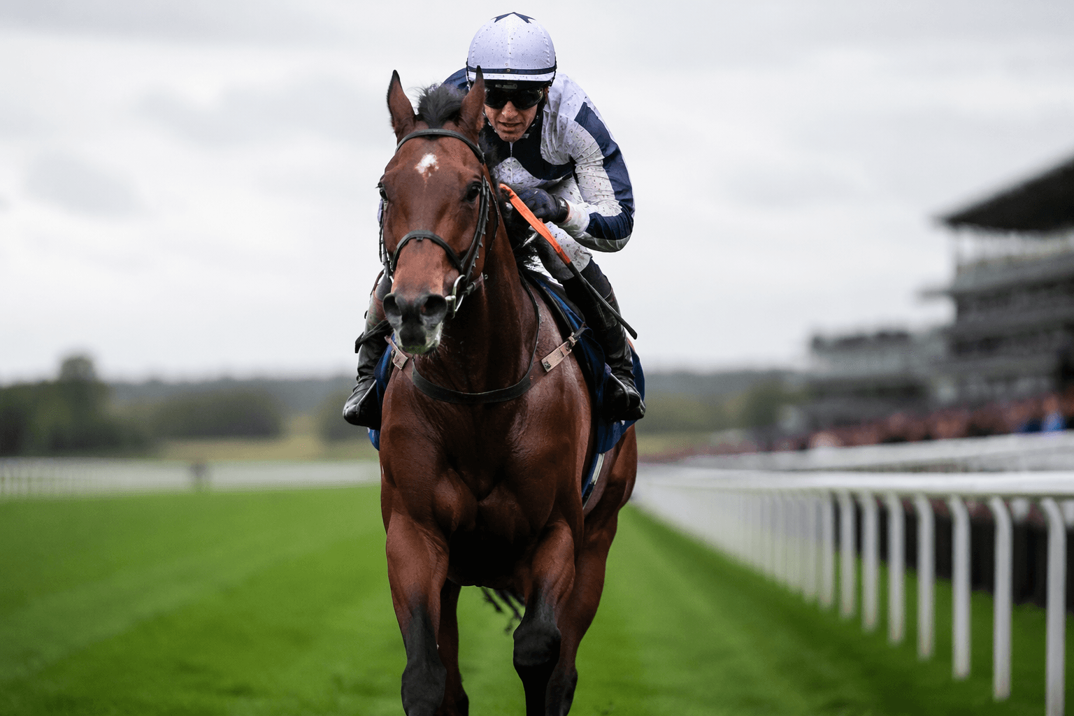 Lazy Griff stakes Irish St Leger claim with Sandown comeback win