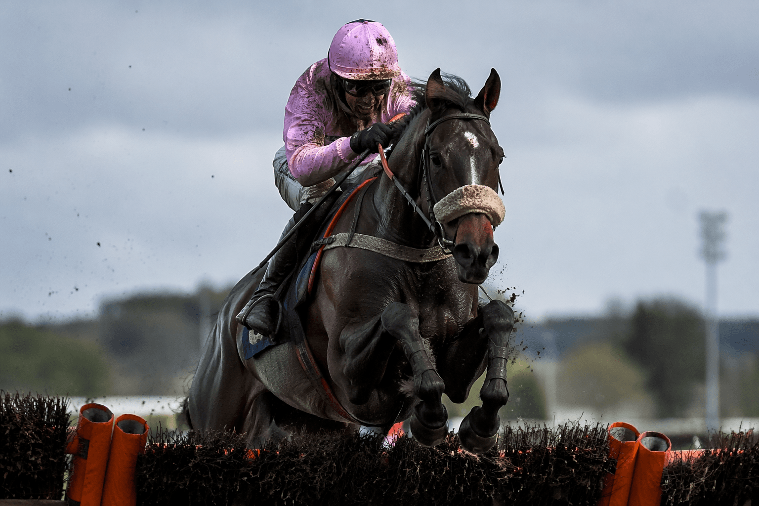 Knightsbridge continues rise over fences with Worcester handicap chase win
