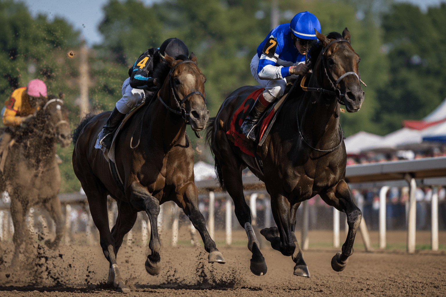 Saratoga juveniles spotlight Miguel Clement and fresh stallions in 2026