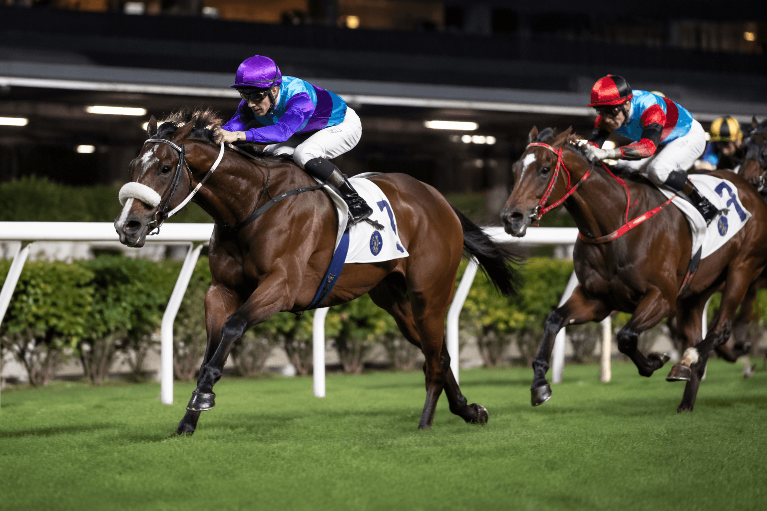Victor Supreme blows away Sha Tin rivals, emerges as Derby prospect