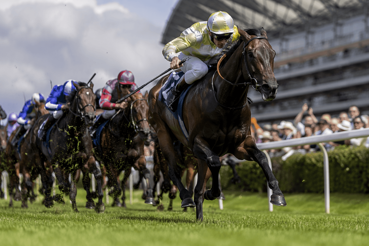 Unbeaten Venetian Sun heads loaded Darley July Cup field