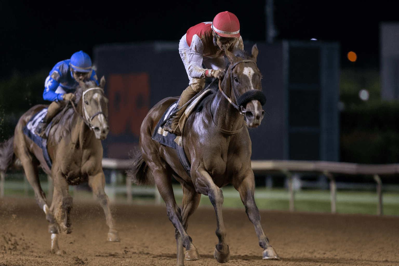 Sweet Azteca wins third straight Great Lady M Stakes at Los Alamitos