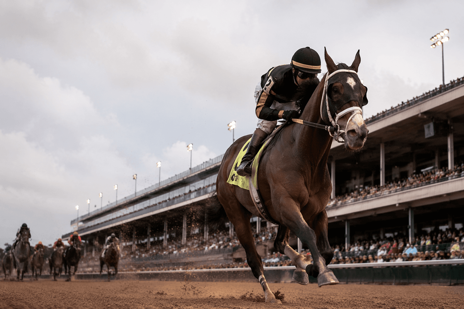 Ole Crazy Bone returns to graded company in Bowling Green Stakes
