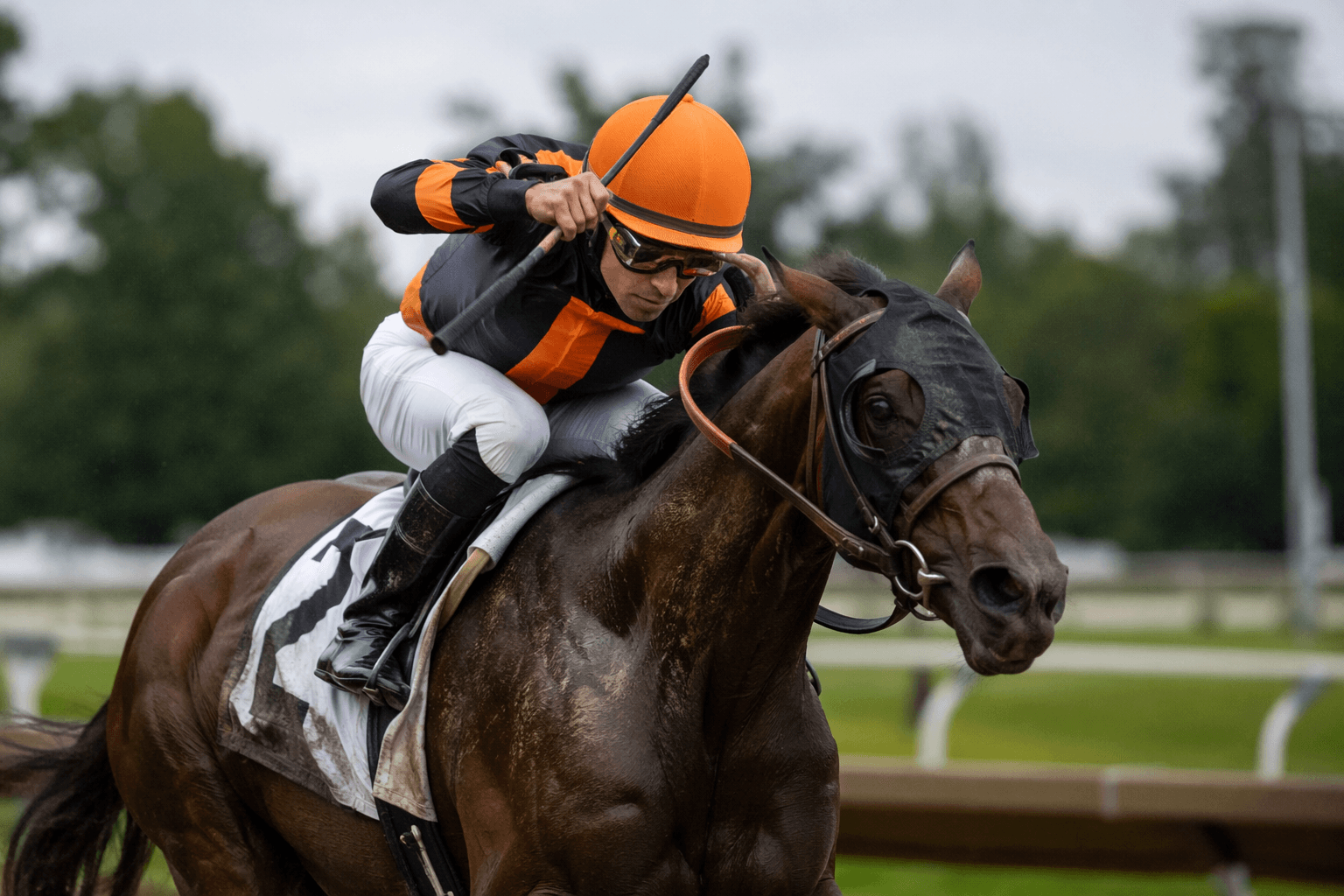 Twirling Aces stays unbeaten with front-running Ellis Park victory