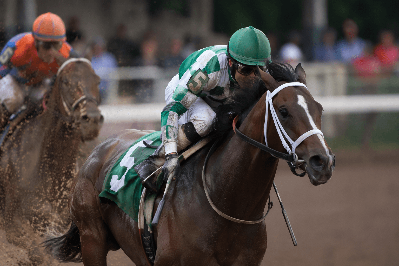 Sculcos Folly leads New York Derby field at Finger Lakes