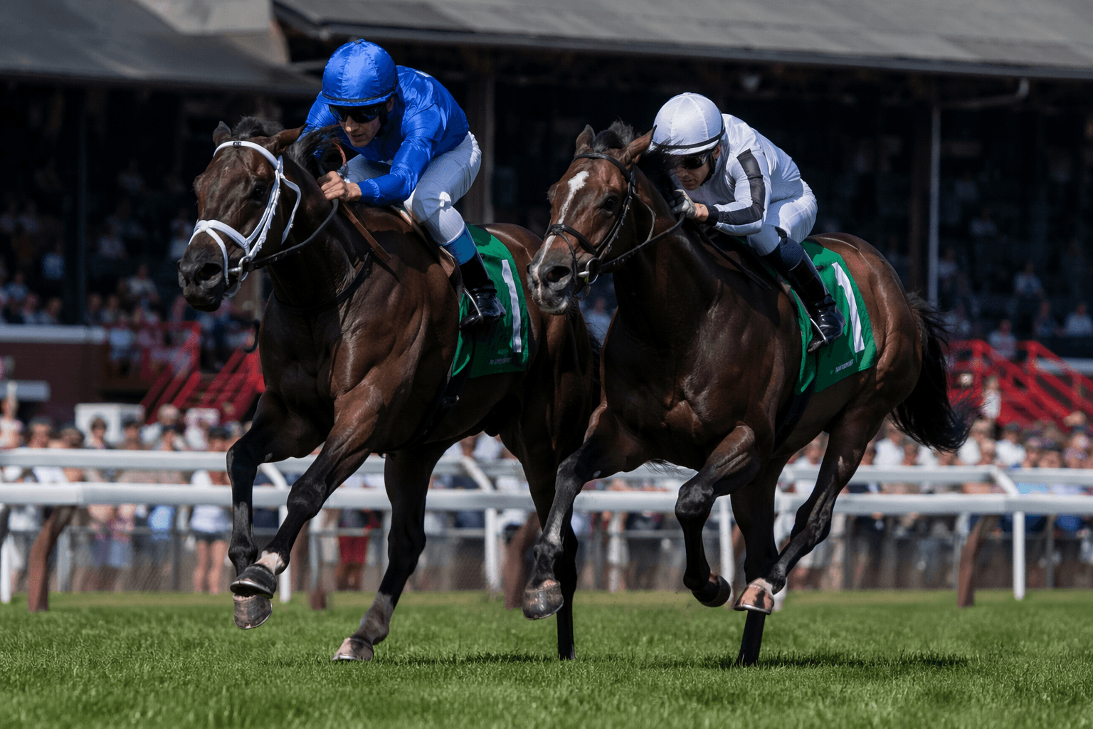 Joseph sends two strong fillies into Saratoga's Caress Stakes